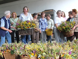 Foto der Kr&auml;uterbuschen und der Helfer beim Binden