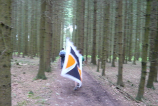 Foto der Pilger auf dem Jakobsweg durch den Wald