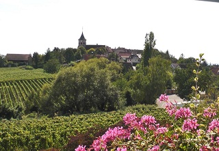 Foto aus Zellerberg