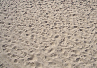 Foto Spuren im Sand am Pazifikstrand