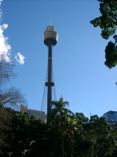 Foto vom Sydney Tower